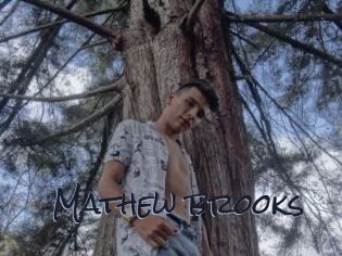 Mathew_brooks