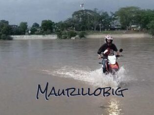 Maurillobig