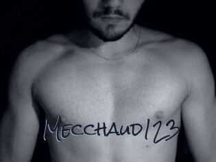 Mecchaud123