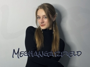 Meghangarfield