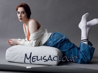 Melisacloud