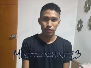 Mestizochino23