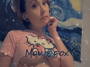 Mollie_fox