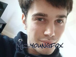 Mr_youngfox