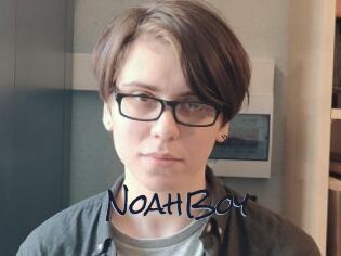 NoahBoy