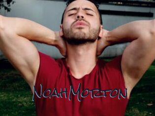 NoahMorton