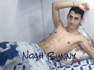 Noah_Bunny