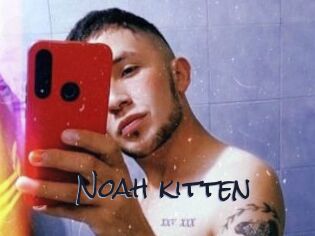 Noah_kitten