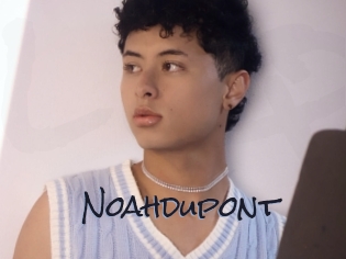 Noahdupont