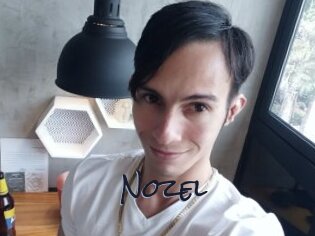 Nozel