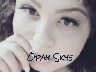 Opay_Skye