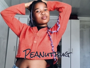 Peanutbug