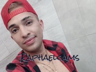 Raphaelcams