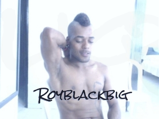 Royblackbig