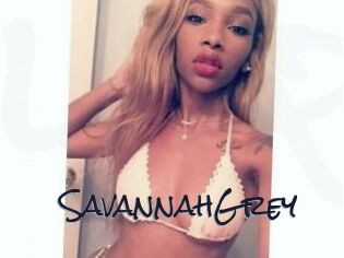 Savannah_Grey