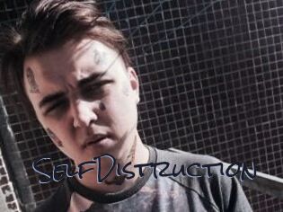 SelfDistruction