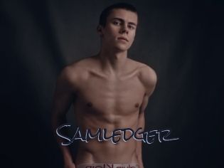 Samledger