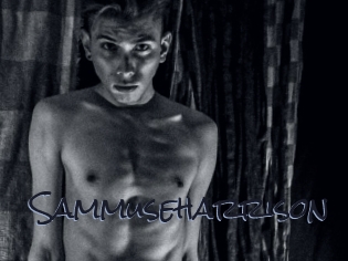 sammuseharrison Liquisexxx