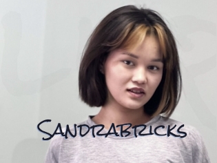 Sandrabricks