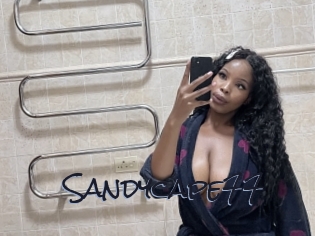 Sandycape77