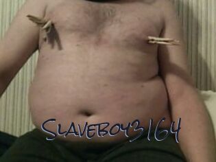 Slaveboy3164