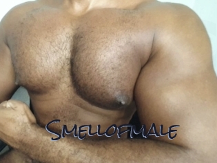 Smellofmale