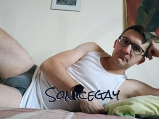 Sonicegay