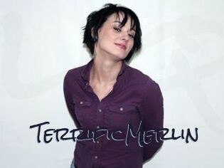 TerrificMerlin