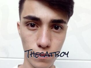 Thecatboy