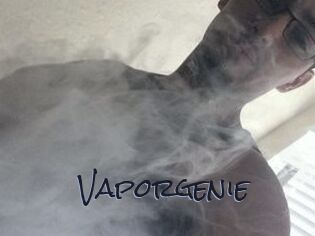 Vapor_genie