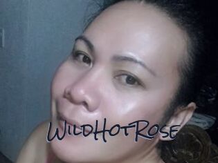 WildHotRose