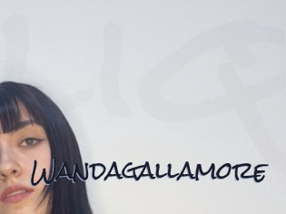 Wandagallamore