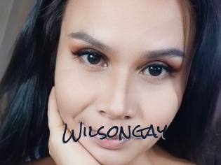 Wilsongay